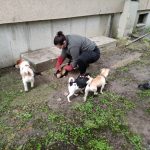 patkányirtás szabadság tér (23)