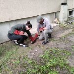 patkányirtás szabadság tér (25)