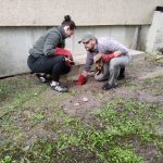 patkányirtás szabadság tér (30)