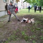 patkányirtás szabadság tér (34)