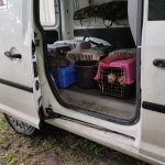 patkányirtás szabadság tér (4)