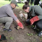 patkányirtás szabadság tér (44)