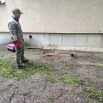 patkányirtás szabadság tér (54)