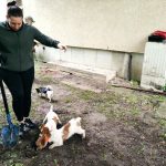 patkányirtás szabadság tér (56)