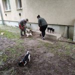 patkányirtás szabadság tér (58)