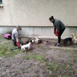 patkányirtás szabadság tér (61)