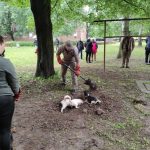 patkányirtás szabadság tér (62)