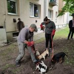 patkányirtás szabadság tér (65)