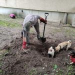 patkányirtás szabadság tér (68)