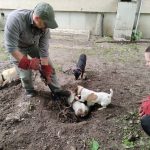 patkányirtás szabadság tér (69)