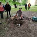 patkányirtás szabadság tér (80)