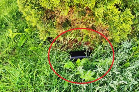 Egy nap alatt elfogták a pénztárcatolvajt