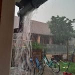 353017830_5833814926718753_259656052044636136_n