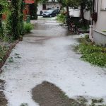 353444107_10223363666940056_3940932703429354597_n