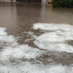 353624313_10223363665820028_8967153652811906344_n