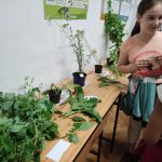 Liszt iskola egészségnap (20)