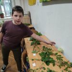 Liszt iskola egészségnap (22)