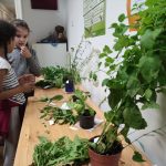 Liszt iskola egészségnap (24)