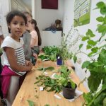 Liszt iskola egészségnap (25)