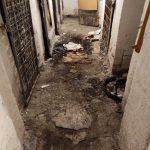 Szabadság tér lomtalanítás (19)