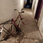 Szabadság tér lomtalanítás (20)