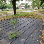 Hősök tere (1)
