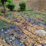 Hősök tere (5)
