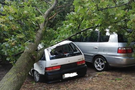 Fákat döntött ki, autókat tört össze a Vásárhelyen tomboló vihar
