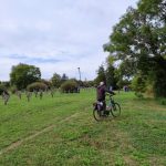 Mindszent víztorony robbantás (12)