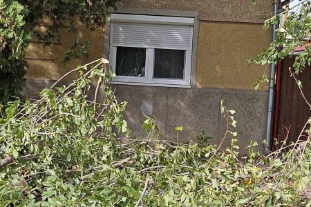 Csak kisebb károkat okozott az erős szél – elsősorban fákat, faágakat tört