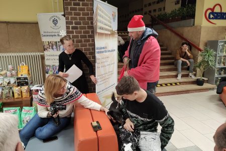 Nehéz év van a vásárhelyi állatvédők mögött