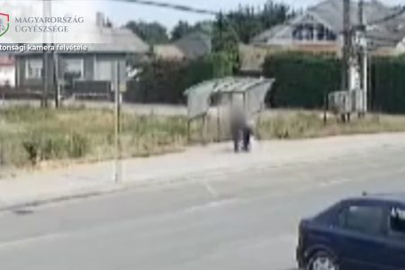Verés lett a paradicsomválogatáskor kirobbant vita vége – videóval