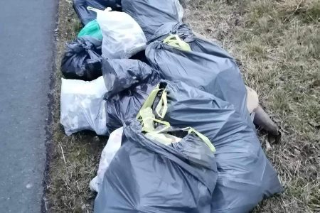 Ismét önkéntes szemétszedést tartanak Vásárhelyen