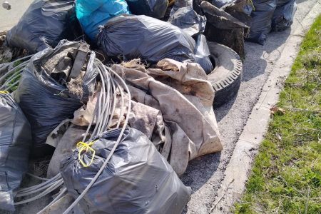 Ismét önkéntesek tették tisztábbá Vásárhelyet