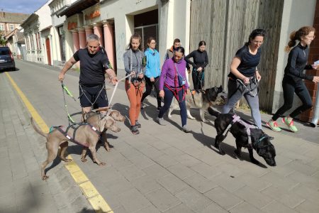 Kutyusokkal is nekivágtak a vásárhelyi teljesítménytúrának