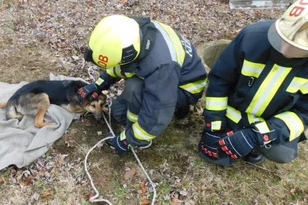 Árokba esett egy idős kutya a vásárhelyi Fürkehalom utcában