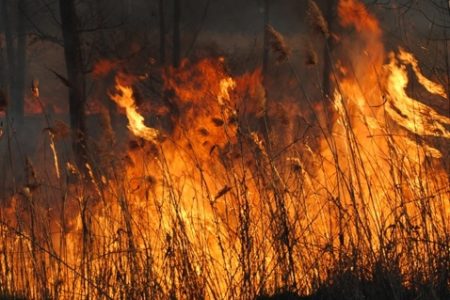Ismét tűzgyújtási tilalom van Csongrád-Csanád vármegyében