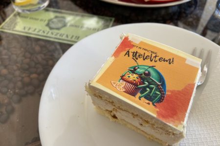 „Átteleltem!” – itt a Sarokház Cukrászda új finomsága