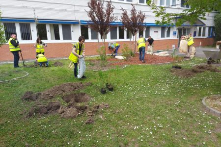 Szorgoskodtak az Imerysnél, megtisztították a környezetüket