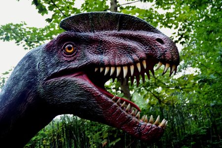 A dinoszauruszok titánjairól lesz előadás a Tornyaiban