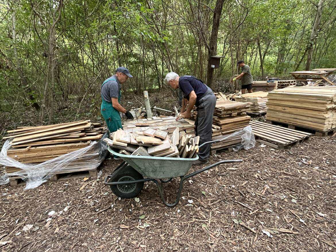 553054169_1389748319335528_3762167515205049421_n