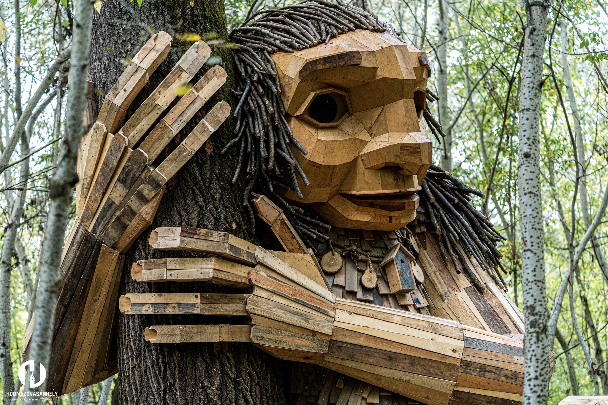 555616526_1151518500457235_8364345673235771670_n