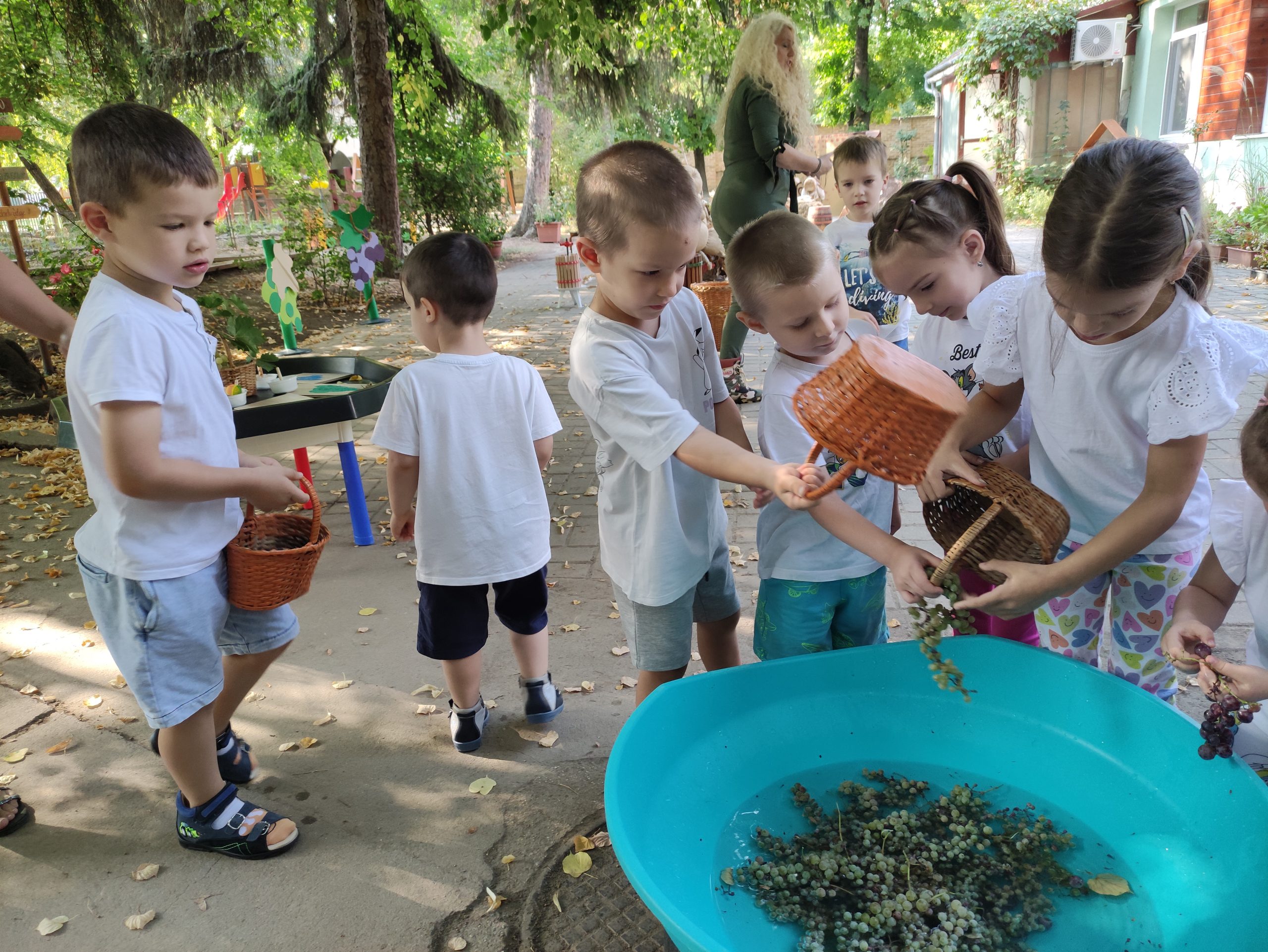 szüretelnek a Klímanócskák (15)