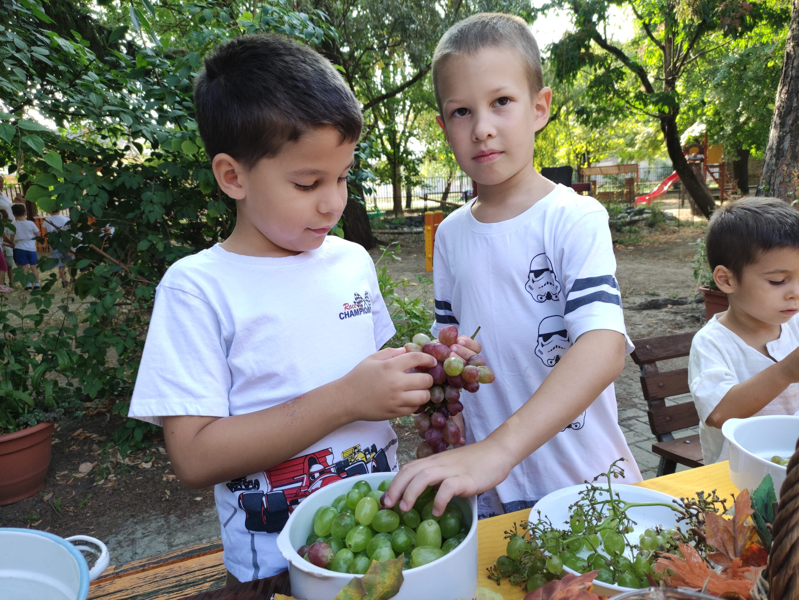 szüretelnek a Klímanócskák (16)