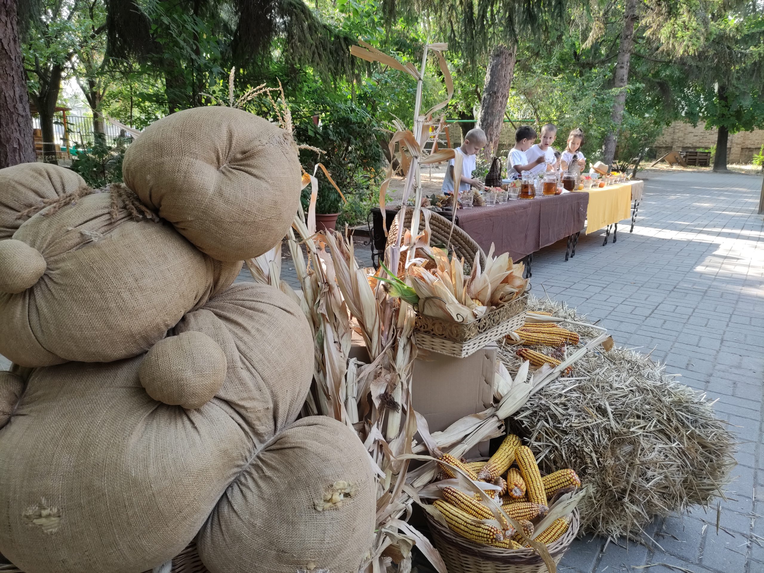 szüretelnek a Klímanócskák (28)