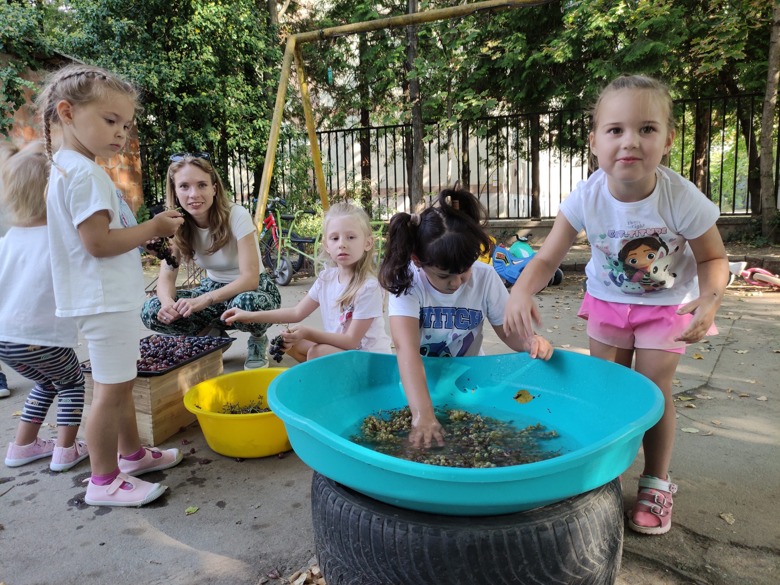 szüretelnek a Klímanócskák (35)