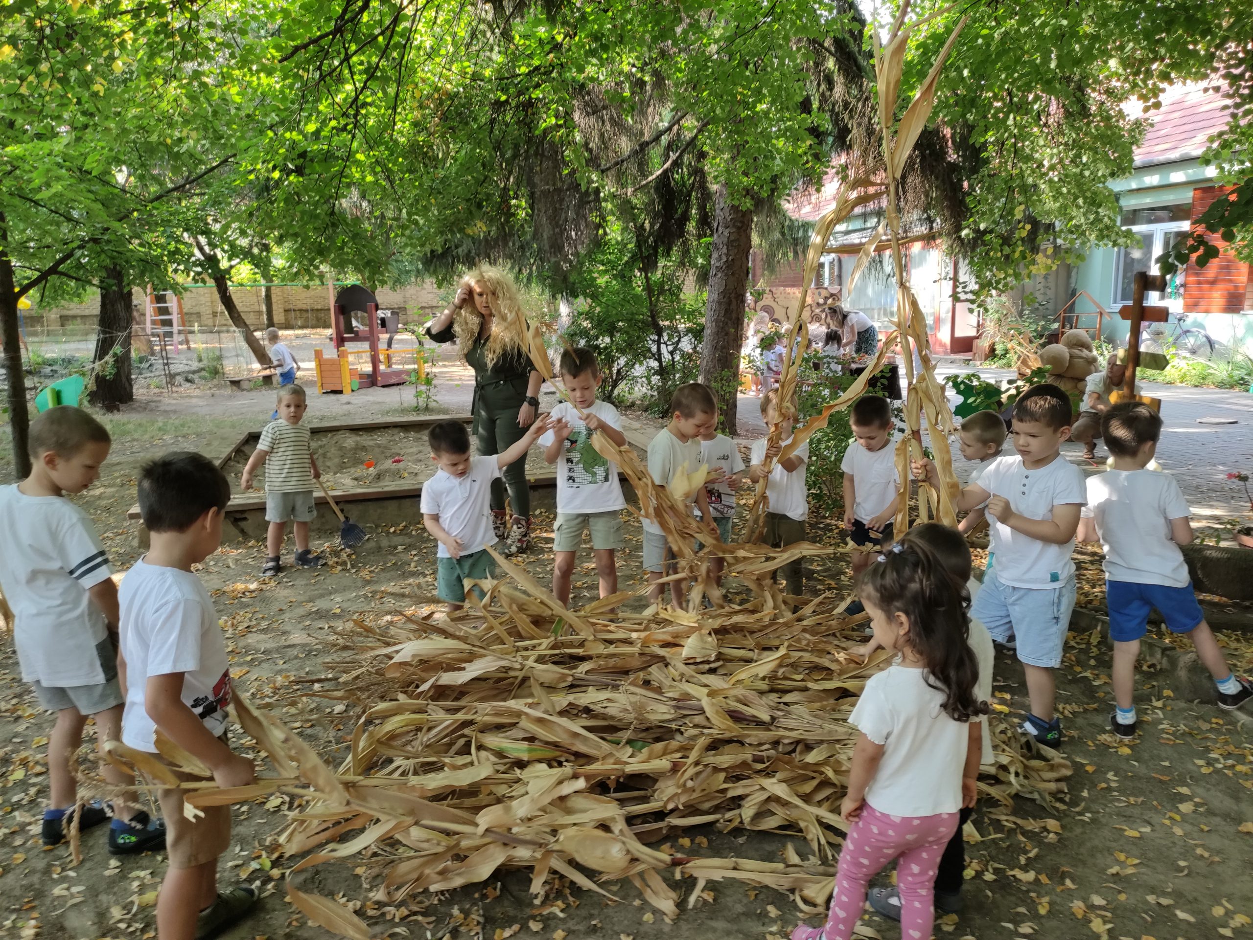 szüretelnek a Klímanócskák (40)