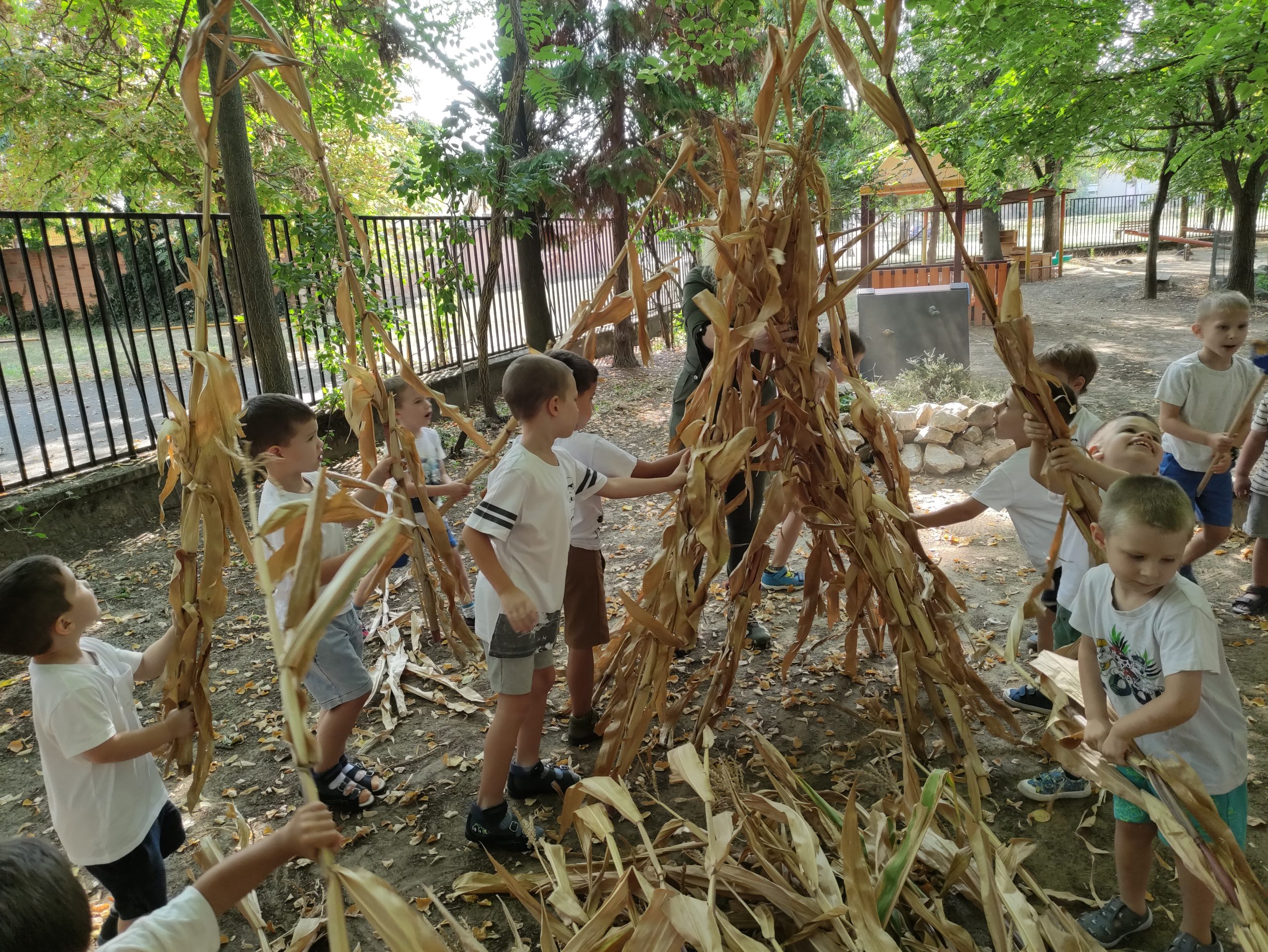 szüretelnek a Klímanócskák (43)