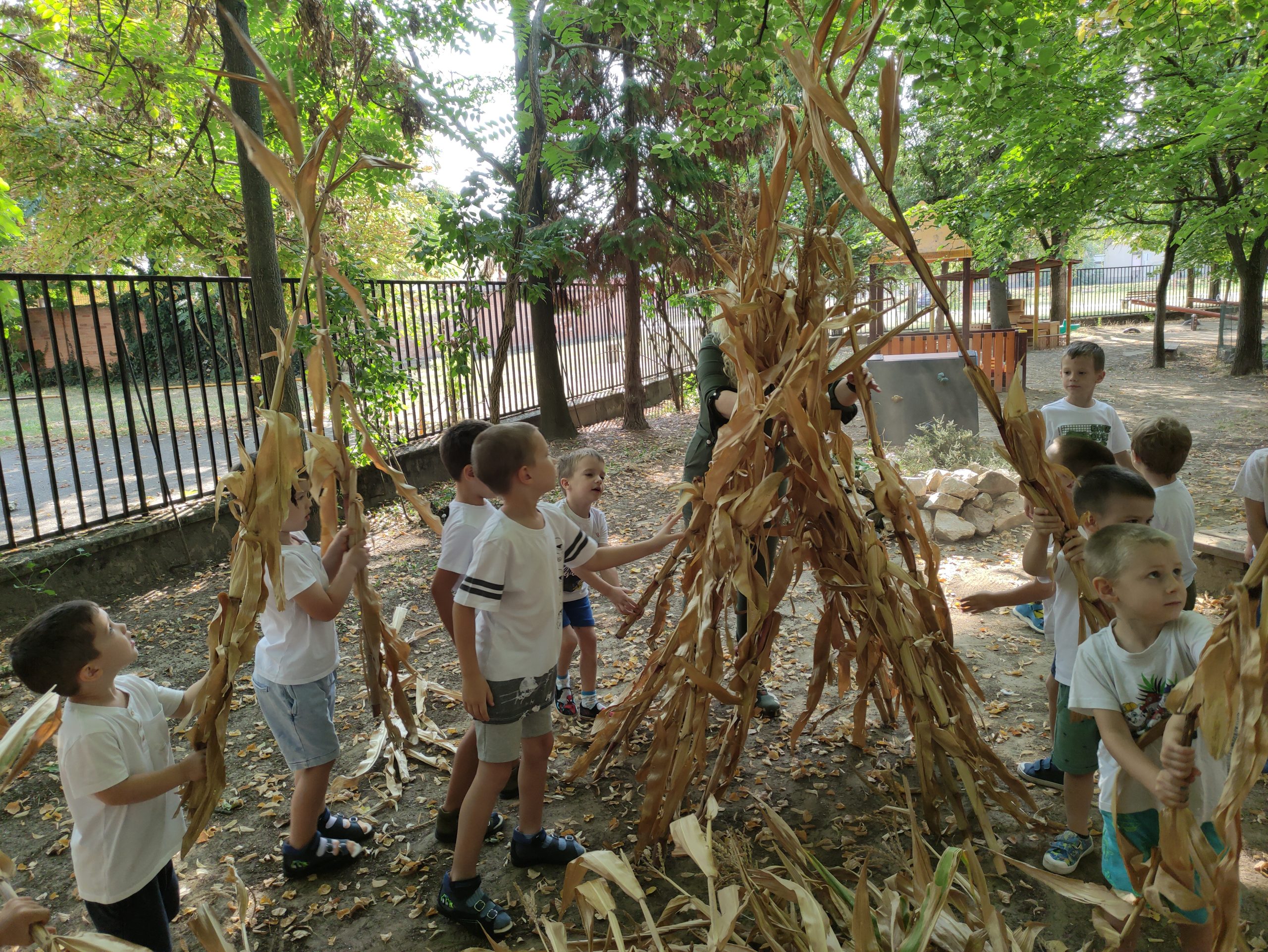 szüretelnek a Klímanócskák (44)