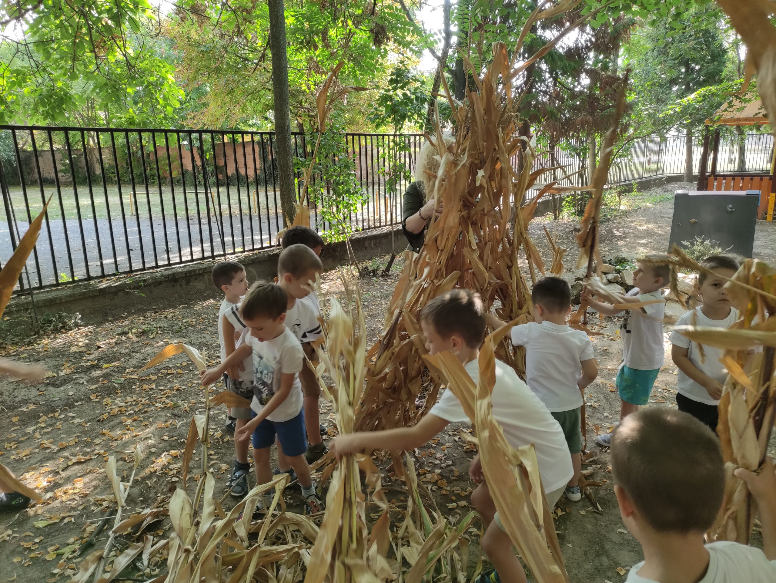 szüretelnek a Klímanócskák (45)